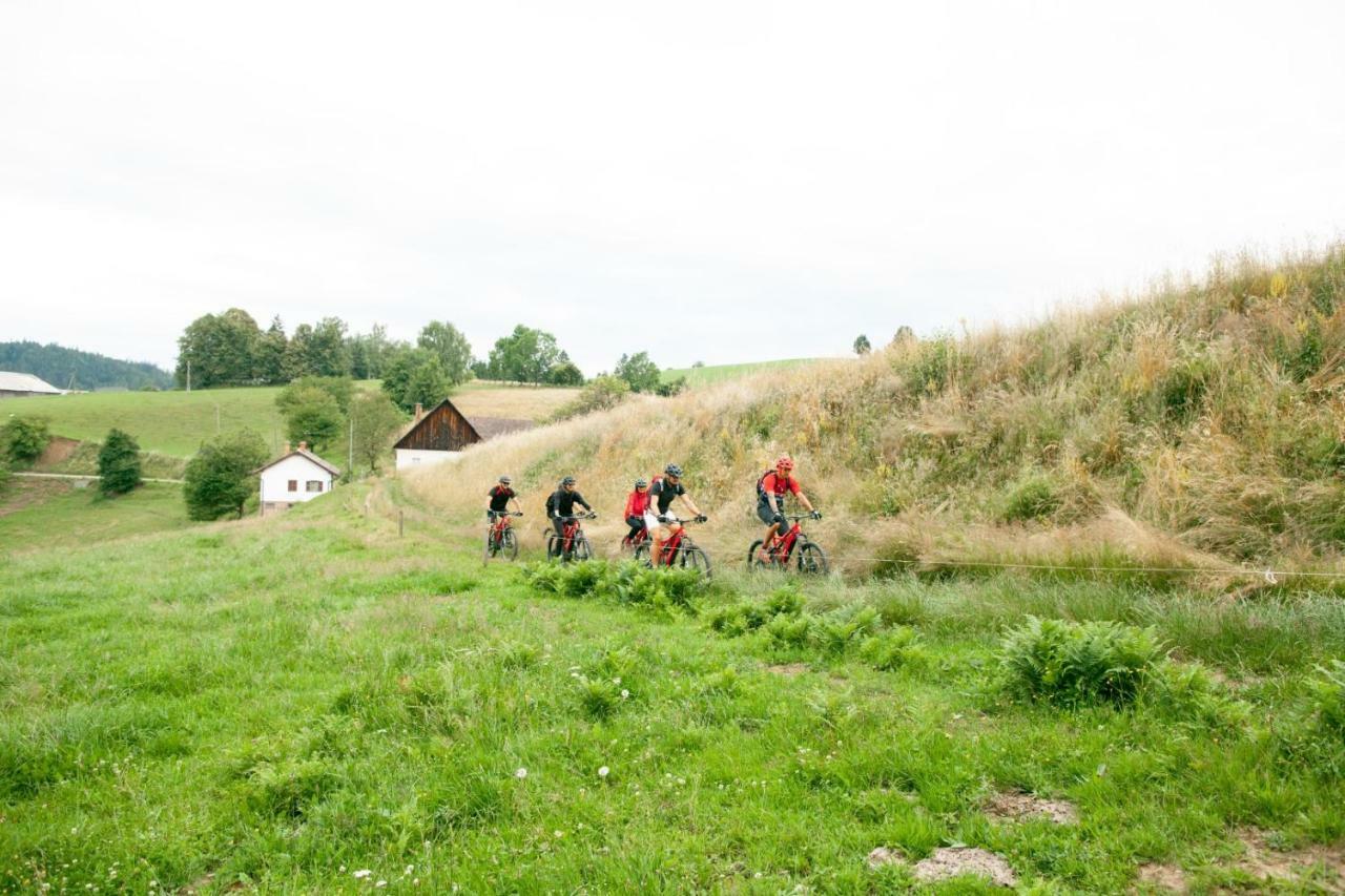 Gasthof Zum Moosmann - Familie Pachernigg Arnfels Exterior foto